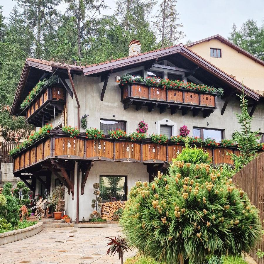 Amor Tirol Busteni (Adults Only) Kültér fotó