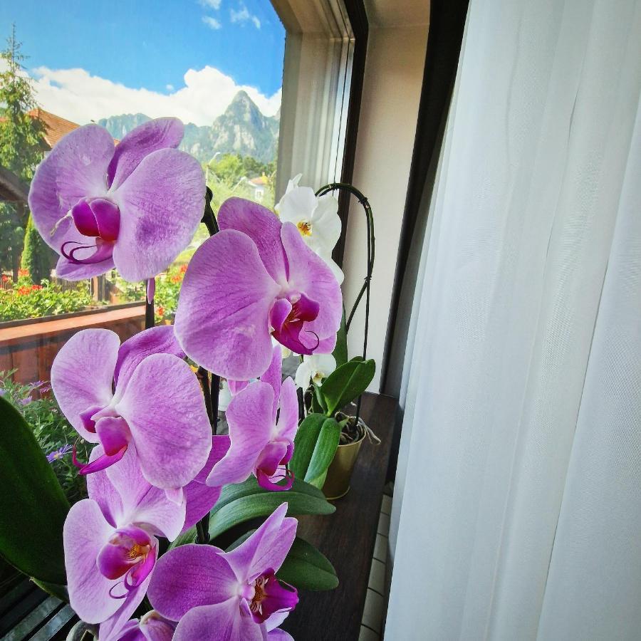 Amor Tirol Busteni (Adults Only) Kültér fotó