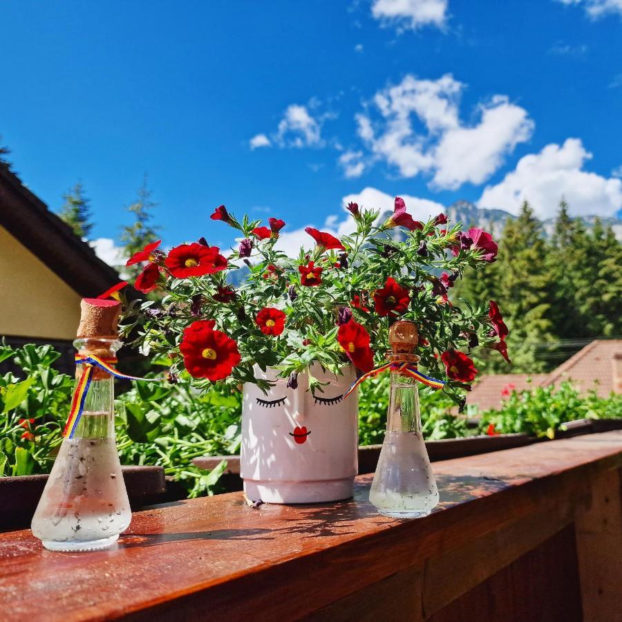 Amor Tirol Busteni (Adults Only) Kültér fotó