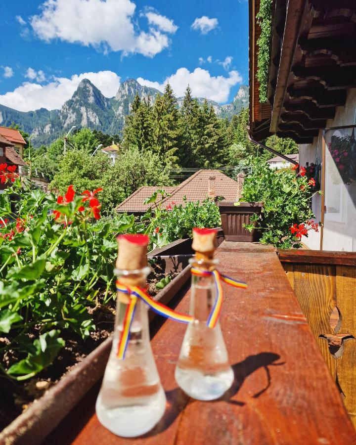 Amor Tirol Busteni (Adults Only) Kültér fotó