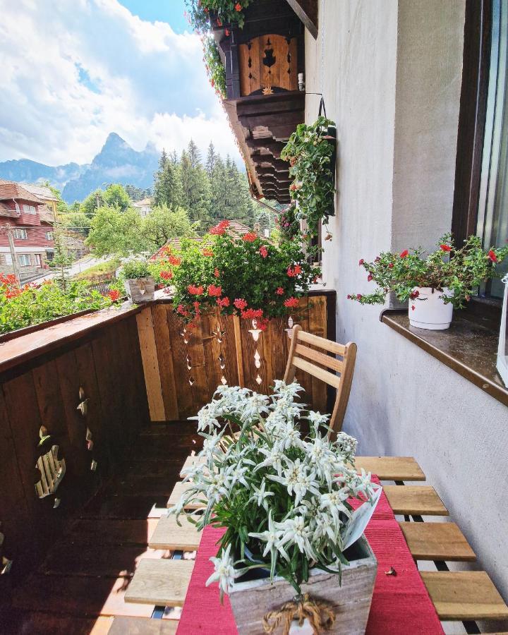 Amor Tirol Busteni (Adults Only) Kültér fotó