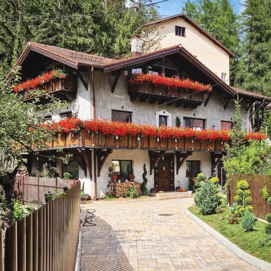 Amor Tirol Busteni (Adults Only) Kültér fotó