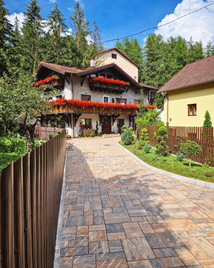 Amor Tirol Busteni (Adults Only) Kültér fotó