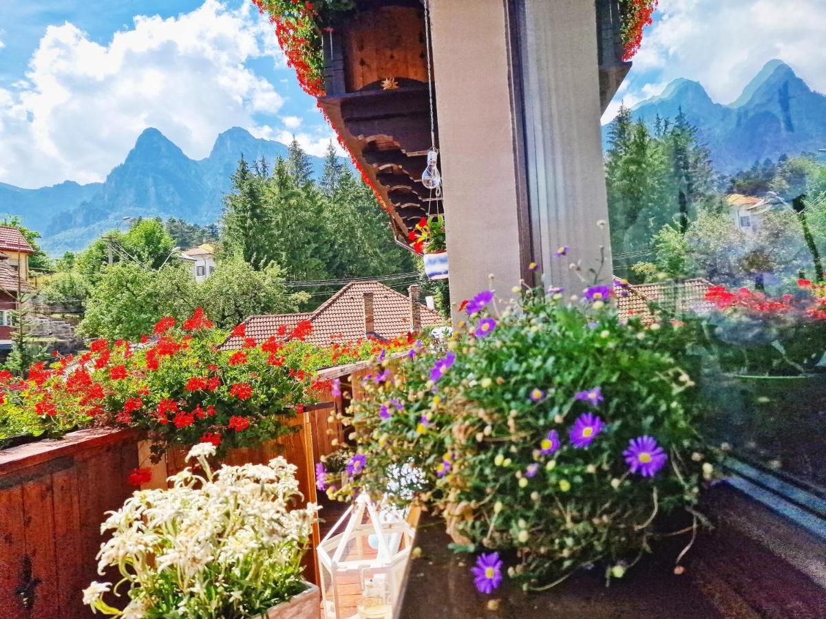 Amor Tirol Busteni (Adults Only) Kültér fotó