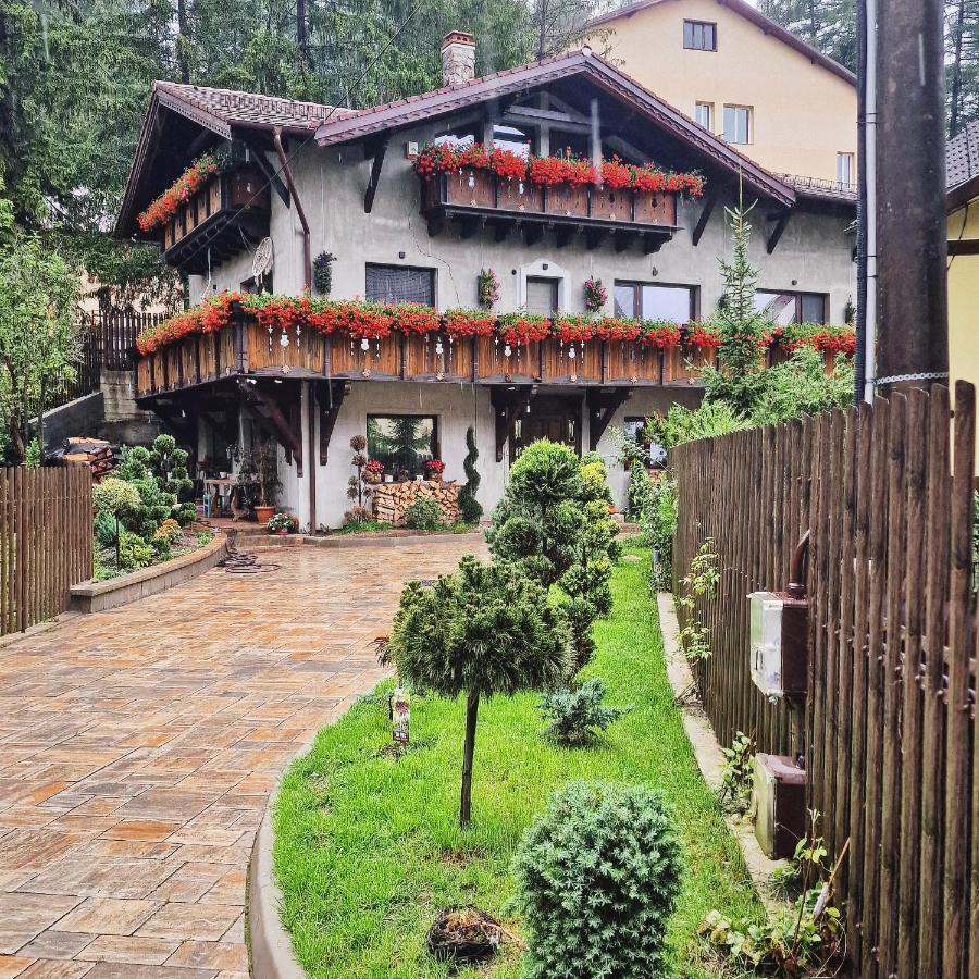Amor Tirol Busteni (Adults Only) Kültér fotó