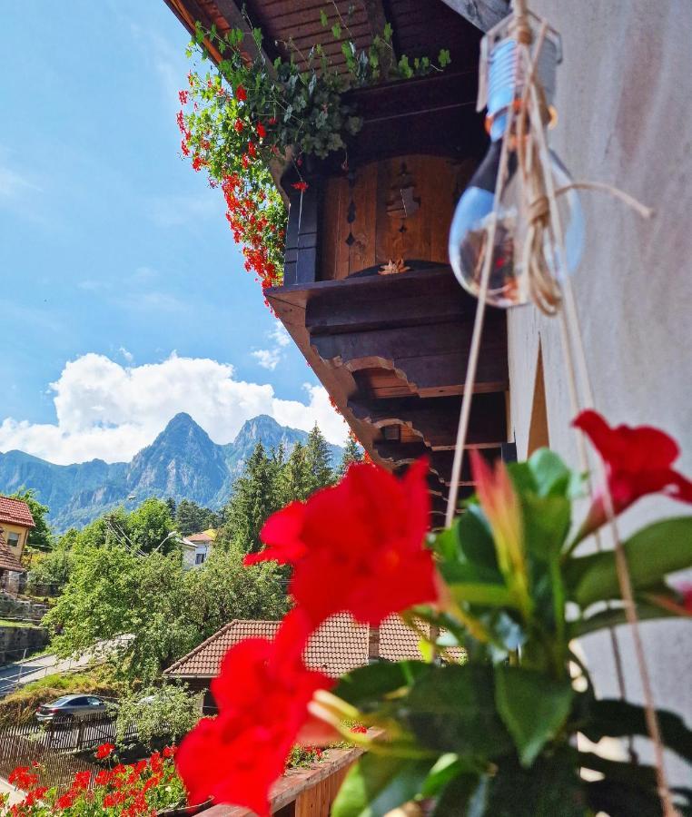 Amor Tirol Busteni (Adults Only) Kültér fotó