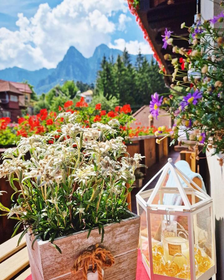 Amor Tirol Busteni (Adults Only) Kültér fotó
