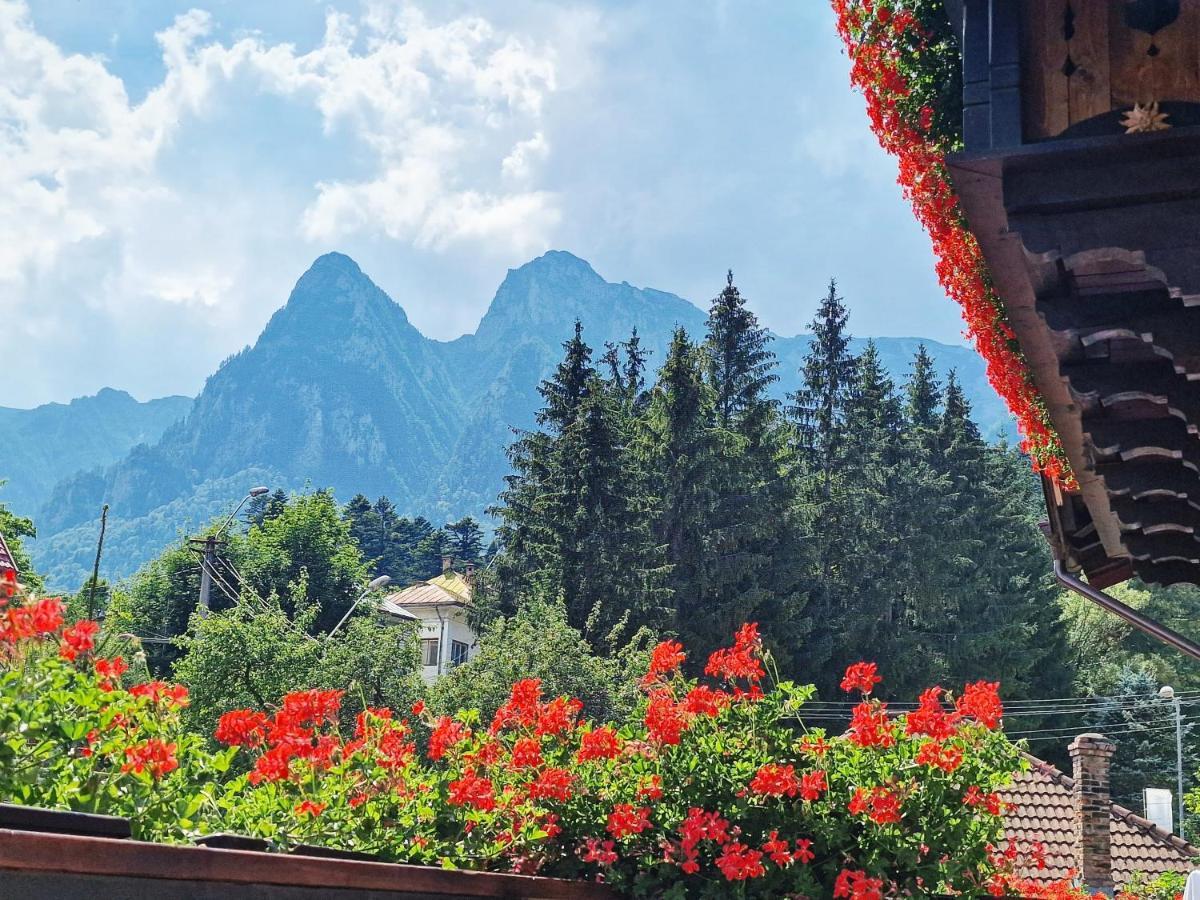 Amor Tirol Busteni (Adults Only) Kültér fotó