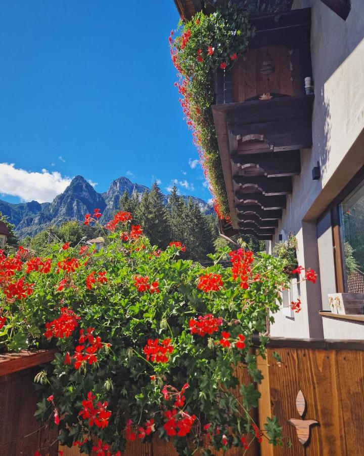 Amor Tirol Busteni (Adults Only) Kültér fotó